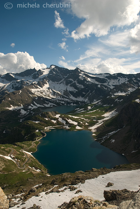 il Gran Paradiso e i suoi animali