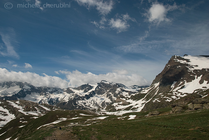 il Gran Paradiso e i suoi animali