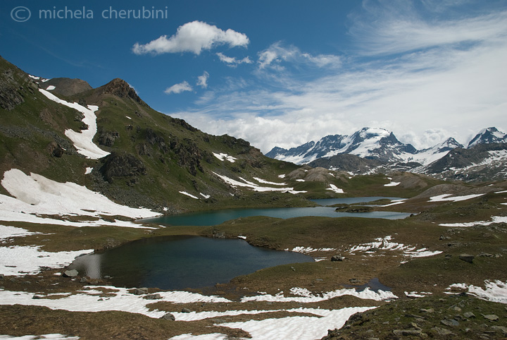 il Gran Paradiso e i suoi animali