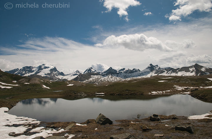 il Gran Paradiso e i suoi animali