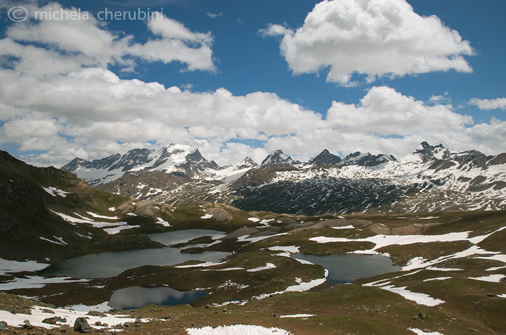 il Gran Paradiso e i suoi animali