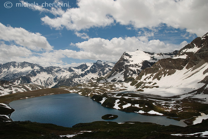 il Gran Paradiso e i suoi animali