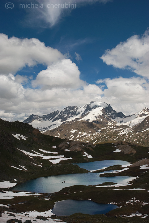 il Gran Paradiso e i suoi animali