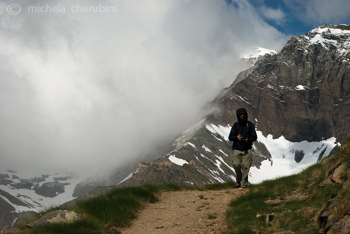 il Gran Paradiso e i suoi animali