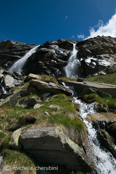 il Gran Paradiso e i suoi animali