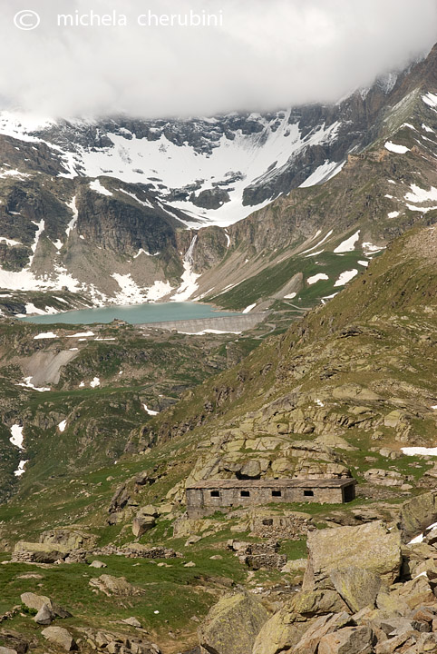 il Gran Paradiso e i suoi animali