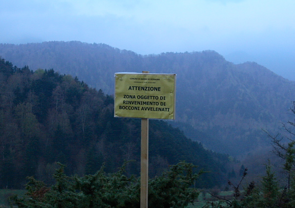 Bocconi avvelenati nel parco delle foreste casentinesi