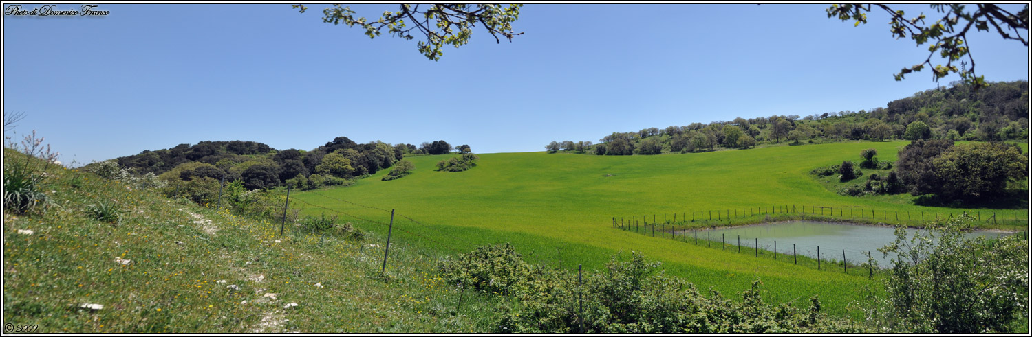 Orchidee del Monte Genuardo (Sicilia centro-occidentale)