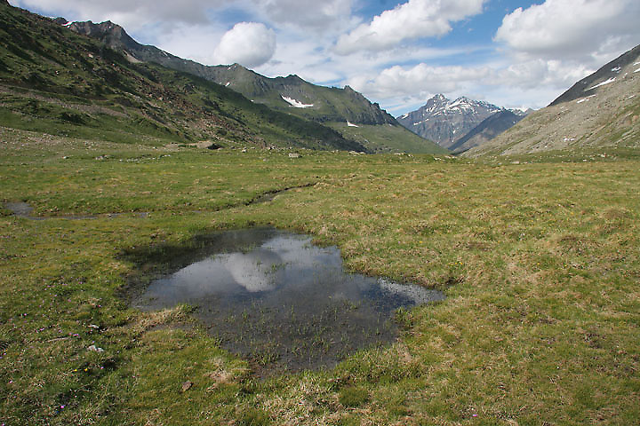 il Gran Paradiso e i suoi animali