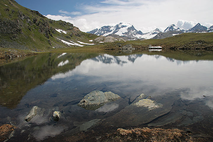 il Gran Paradiso e i suoi animali