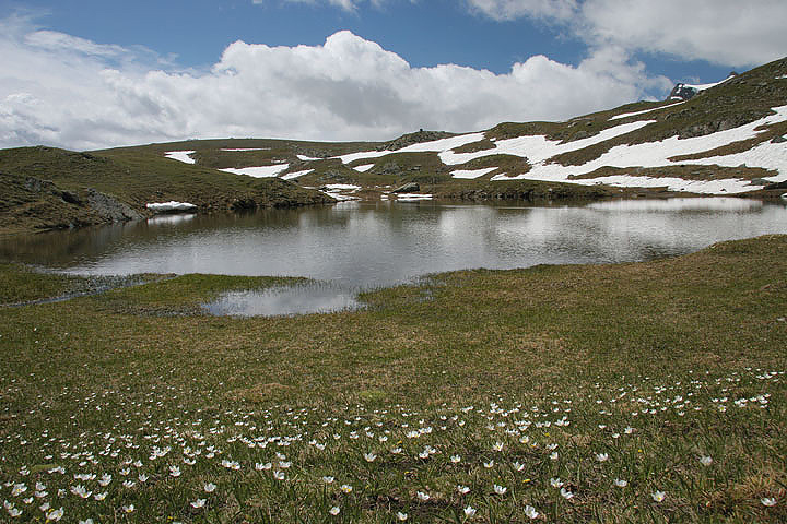 il Gran Paradiso e i suoi animali