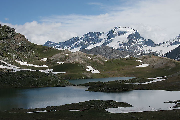 il Gran Paradiso e i suoi animali