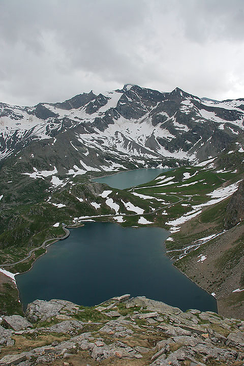 il Gran Paradiso e i suoi animali