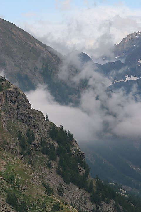 il Gran Paradiso e i suoi animali