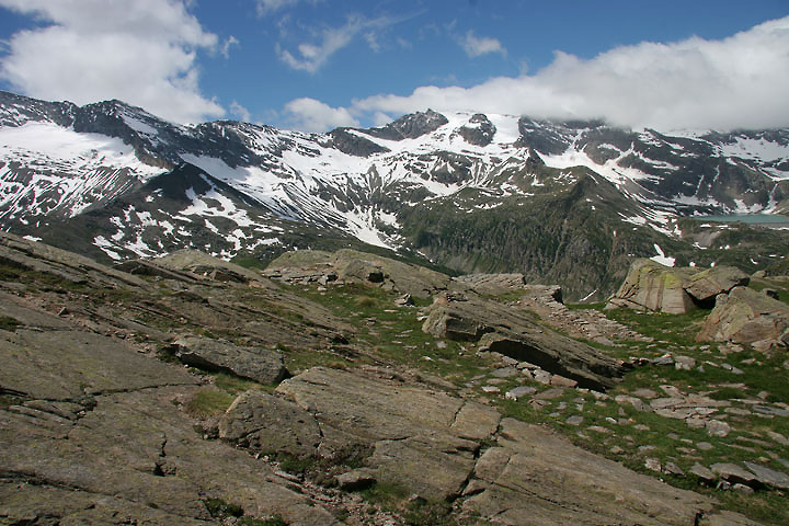 il Gran Paradiso e i suoi animali