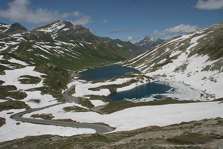 il Gran Paradiso e i suoi animali