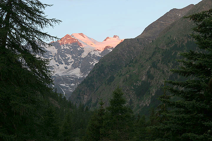 il Gran Paradiso e i suoi animali