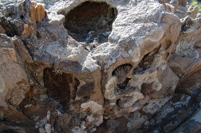 Parc Natural del Cap de Creus - Girona (Spagna)