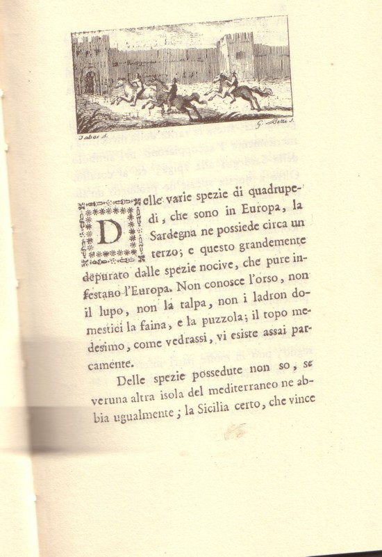 Il lupo c''era in Sardegna?