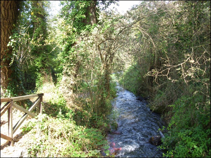 Escursione Lago Posta Fibreno