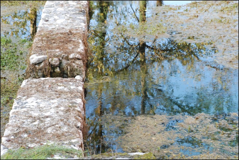 Escursione Lago Posta Fibreno