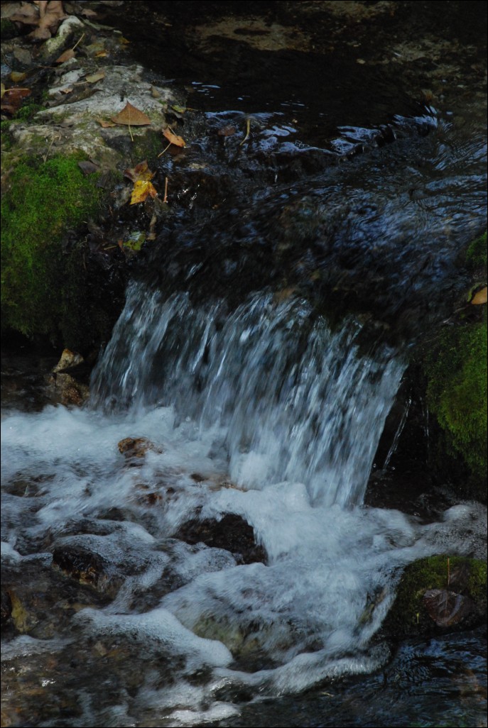 Escursione Lago Posta Fibreno