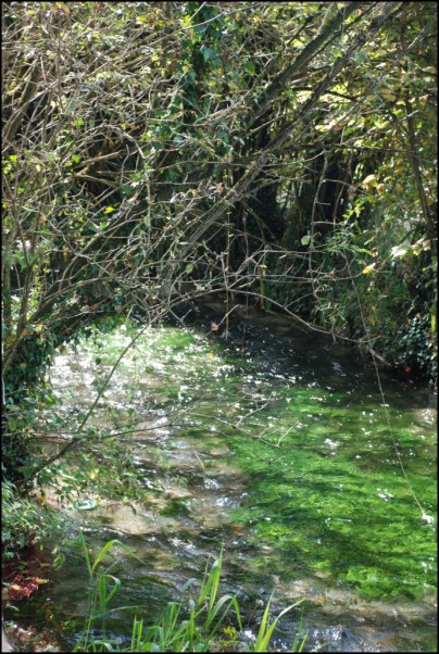 Escursione Lago Posta Fibreno