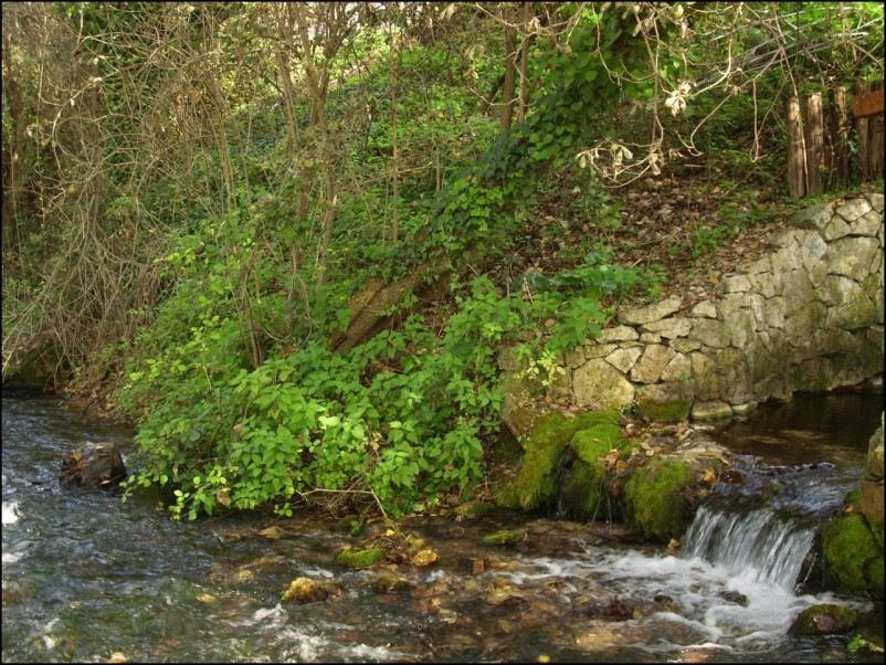 Escursione Lago Posta Fibreno