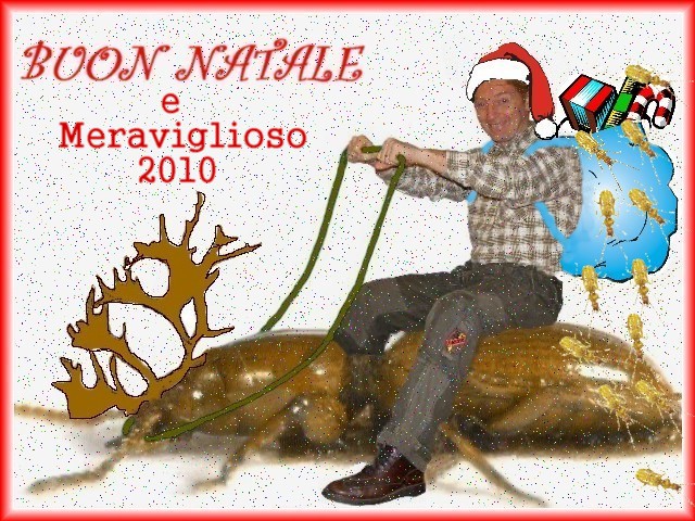 Buon Natale