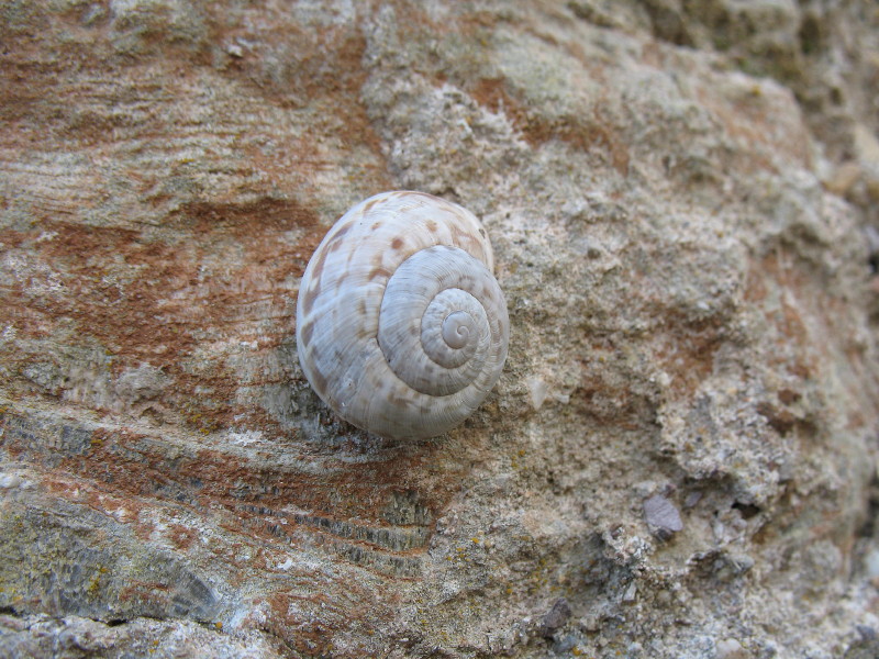 Monte Argentario