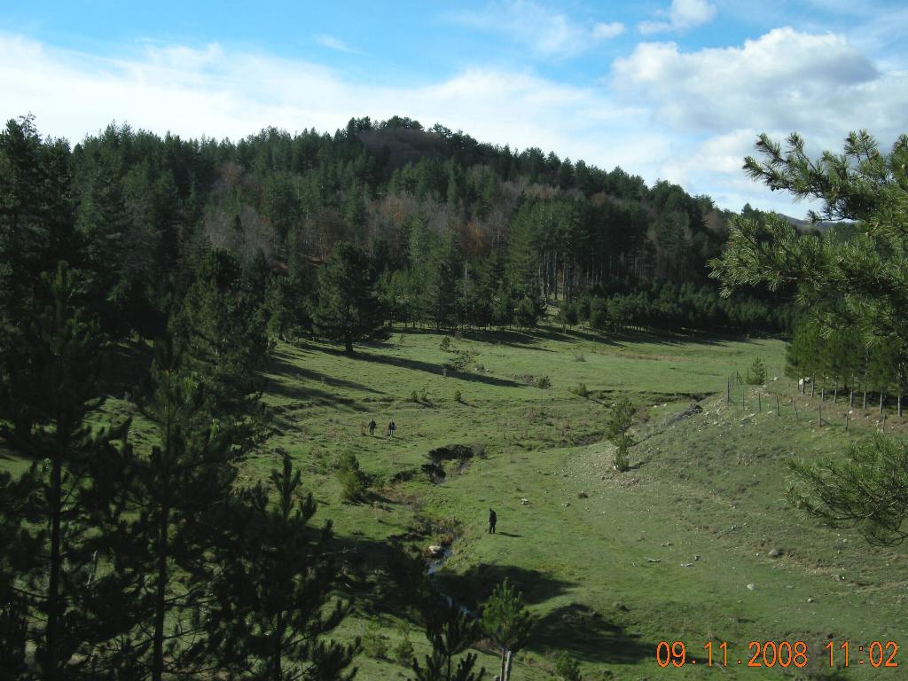 Escursione in Sila del 09.11.08