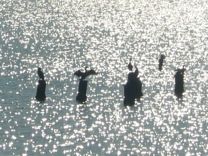 Il mare d''inverno in Romagna