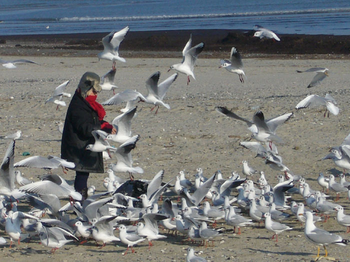 Il mare d''inverno in Romagna