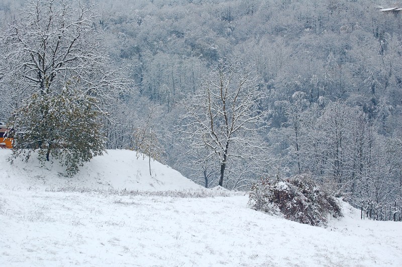 Bianco risveglio.