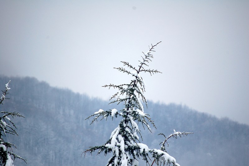 Bianco risveglio.