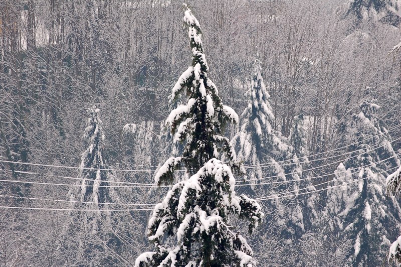 Bianco risveglio.