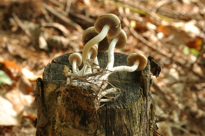 Alcuni ritrovamenti ottobrini.