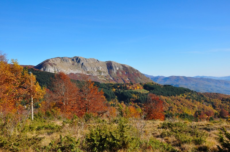 Autunno al Parco dell''Orecchiella.