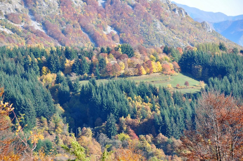 Autunno al Parco dell''Orecchiella.