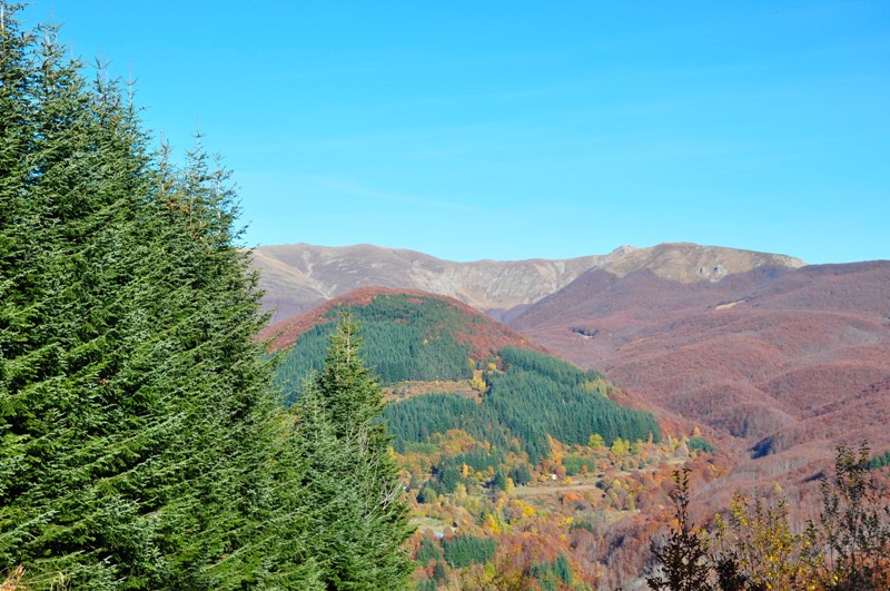 Autunno al Parco dell''Orecchiella.