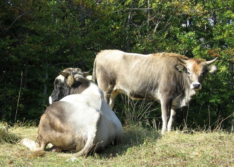 Un pomeriggio a Lamarossa.