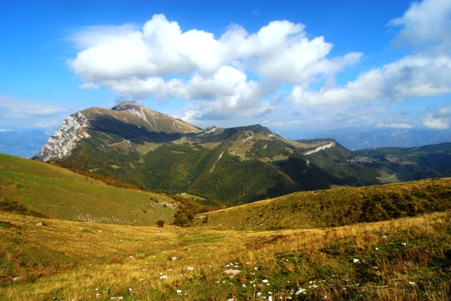 Limax (?) nero  dal Monte Baldo