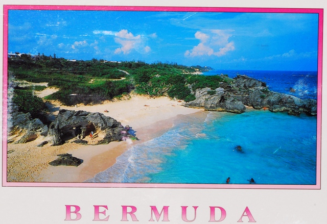 Rumina e Otala da Bermuda