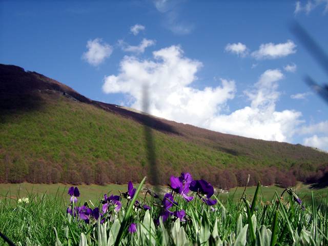 Primavera sul Pollino