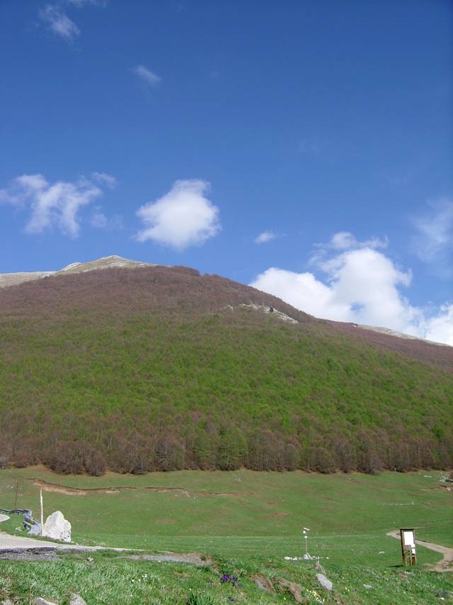 Primavera sul Pollino