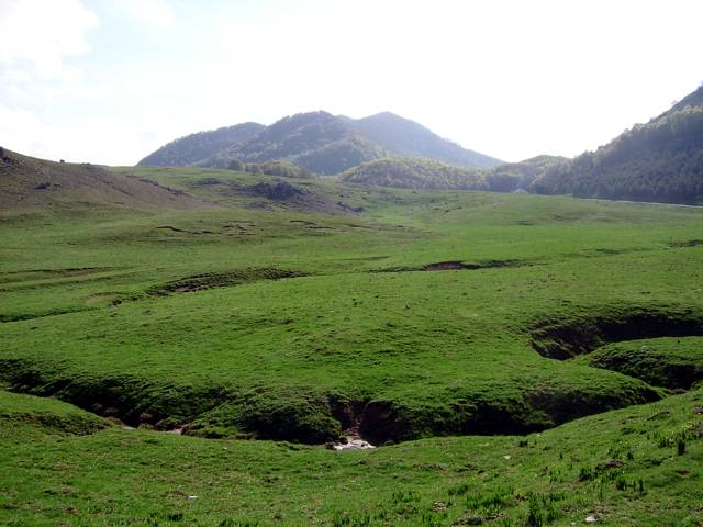 Primavera sul Pollino