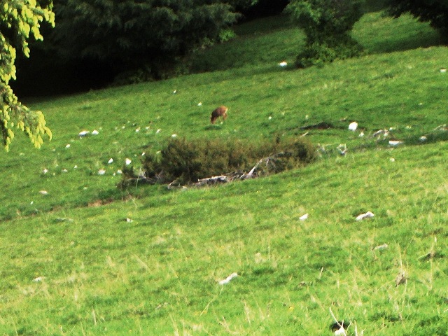 Vita e morte in valle dintelvi Como