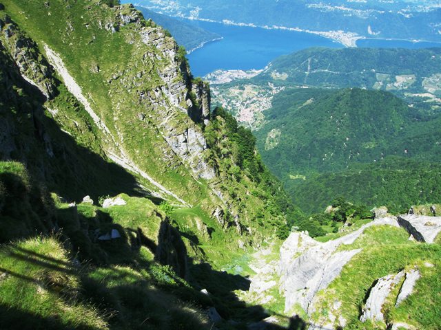 camoscio al monte generoso, svizzera