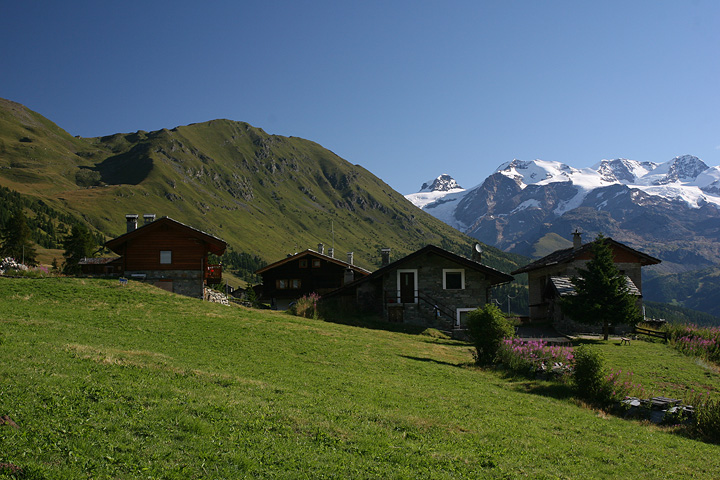 Averla piccola ambientata