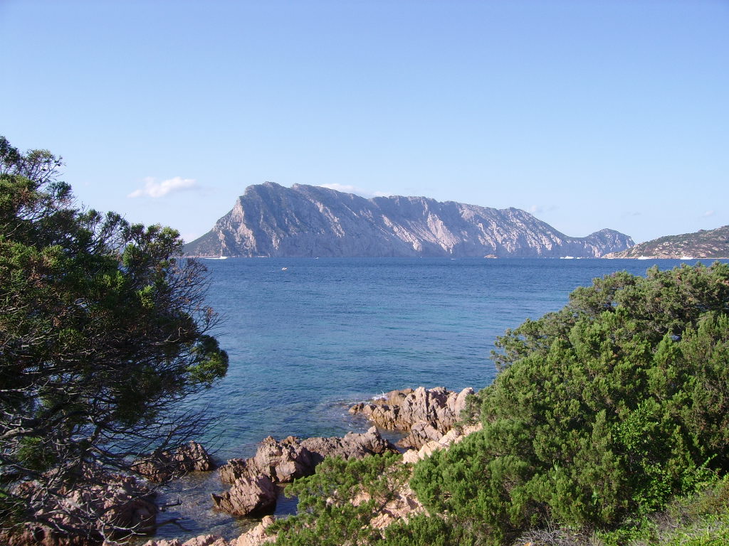 Sardegna Capo coda cavallo